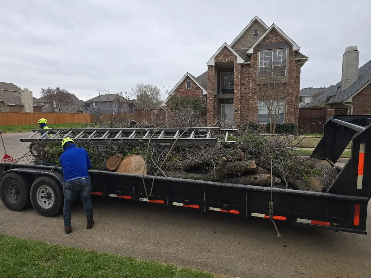 Expert Lot Clearing with proper safety equipment in Avery
